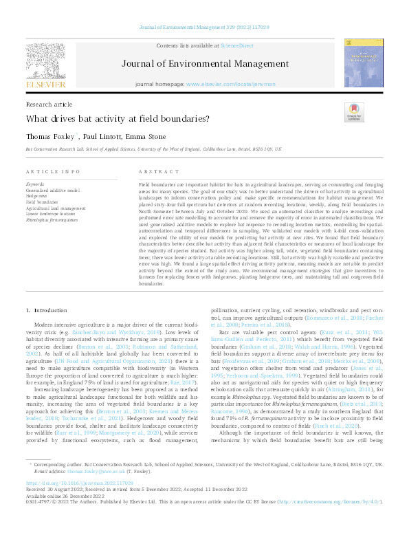 What drives bat activity at field boundaries? Thumbnail