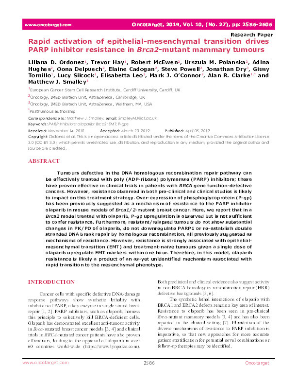 Rapid activation of epithelial-mesenchymal transition drives PARP inhibitor resistance in Brca2-mutant mammary tumours Thumbnail