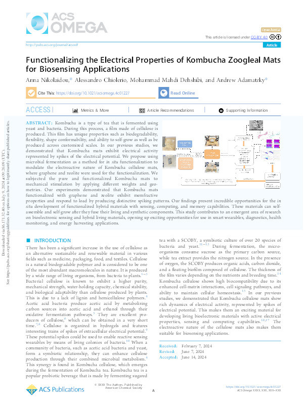 Functionalizing the electrical properties of kombucha zoogleal mats for biosensing applications Thumbnail