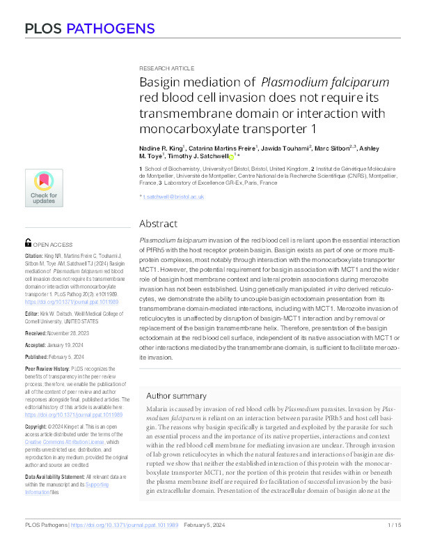 Basigin mediation of Plasmodium falciparum red blood cell invasion does not require its transmembrane domain or interaction with monocarboxylate transporter 1 Thumbnail