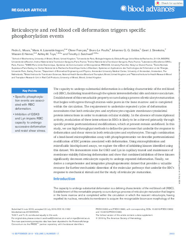 Reticulocyte and red blood cell deformation triggers specific phosphorylation events Thumbnail