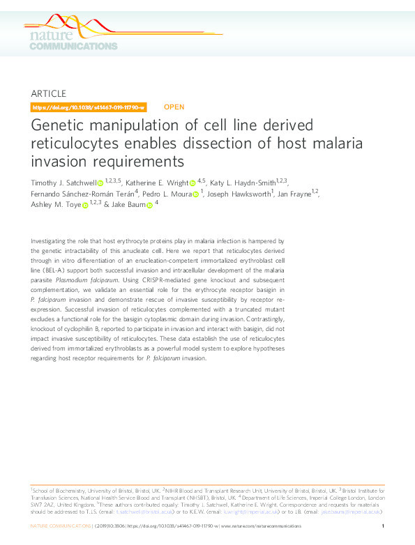 Genetic manipulation of cell line derived reticulocytes enables dissection of host malaria invasion requirements Thumbnail