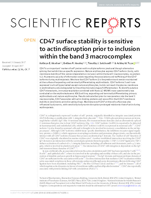 CD47 surface stability is sensitive to actin disruption prior to inclusion within the band 3 macrocomplex Thumbnail