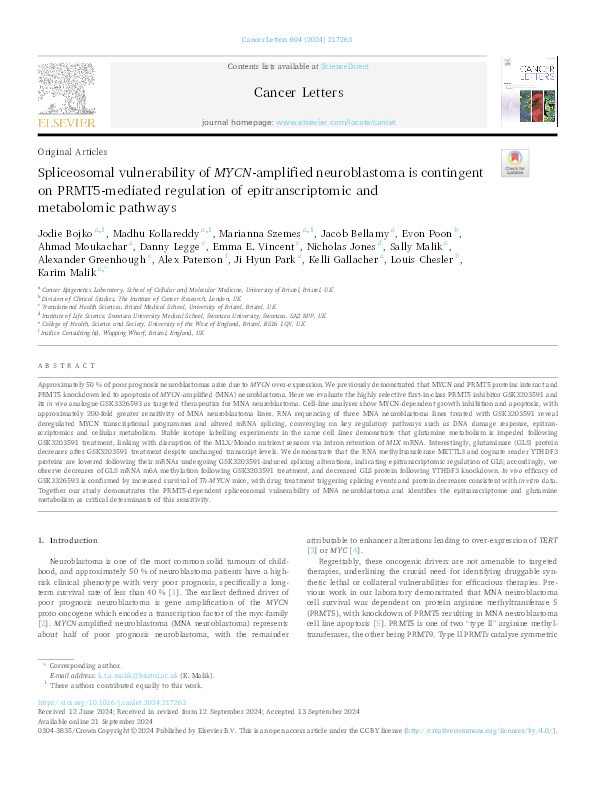 Spliceosomal vulnerability of MYCN-amplified neuroblastoma is contingent on PRMT5-mediated regulation of epitranscriptomic and metabolomic pathways Thumbnail