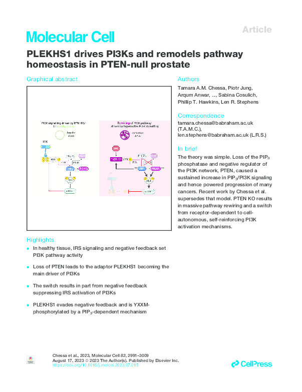 PLEKHS1 drives PI3Ks and remodels pathway homeostasis in PTEN-null prostate Thumbnail