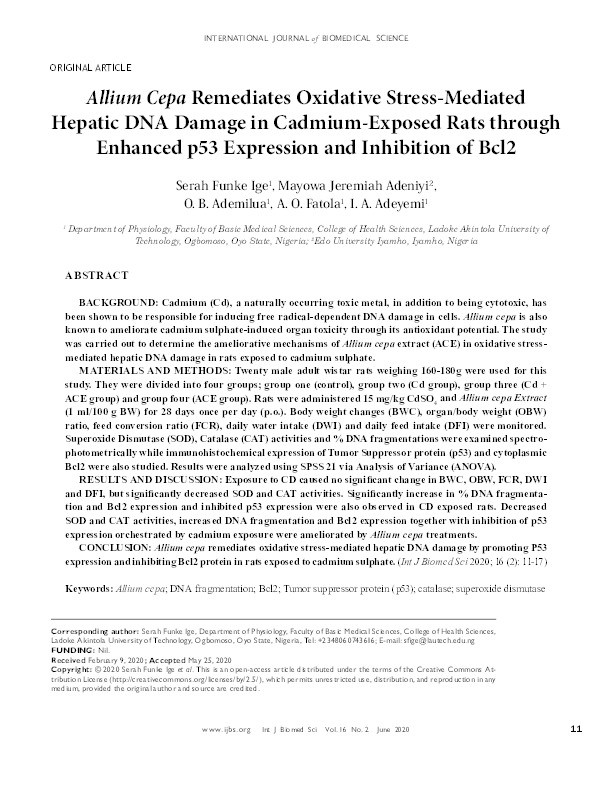 Allium cepa remediates oxidative stress-mediated hepatic DNA damage in cadmium-exposed rats through enhanced p53 expression and inhibition of bcl2 Thumbnail