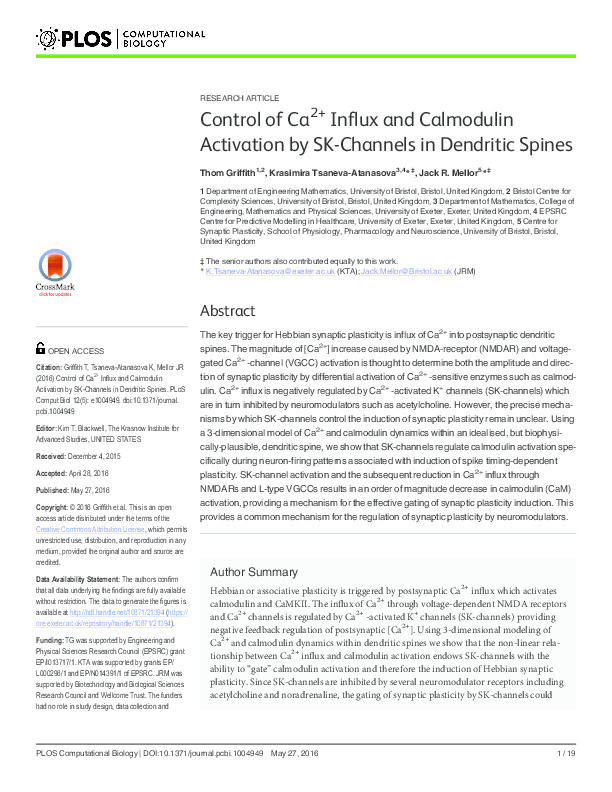 Control of Ca2+ Influx and Calmodulin Activation by SK-Channels in Dendritic Spines Thumbnail