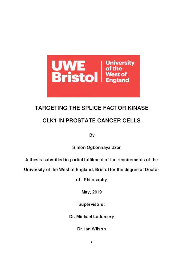 Targeting the splice factor kinase CLK1 in prostate cancer cells Thumbnail