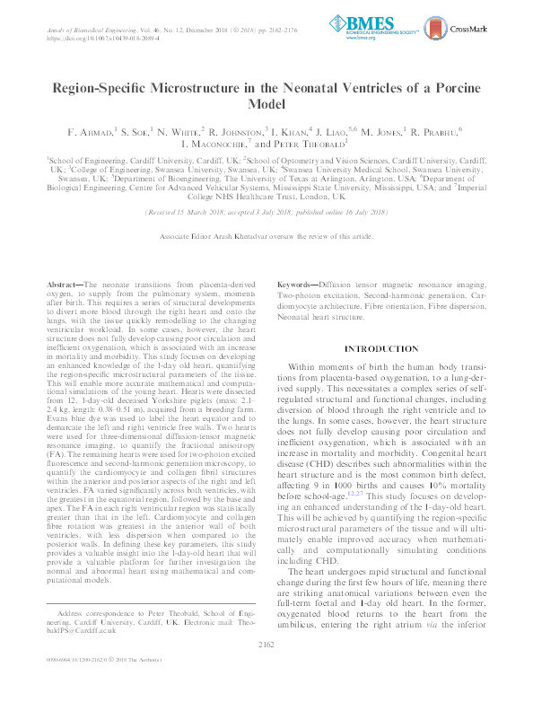 Region-Specific Microstructure in the Neonatal Ventricles of a Porcine Model Thumbnail