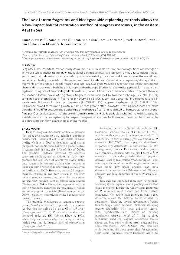 The use of storm fragments and biodegradable replanting methods allows for a low-impact habitat restoration method of seagrass meadows, in the eastern Aegean Sea Thumbnail