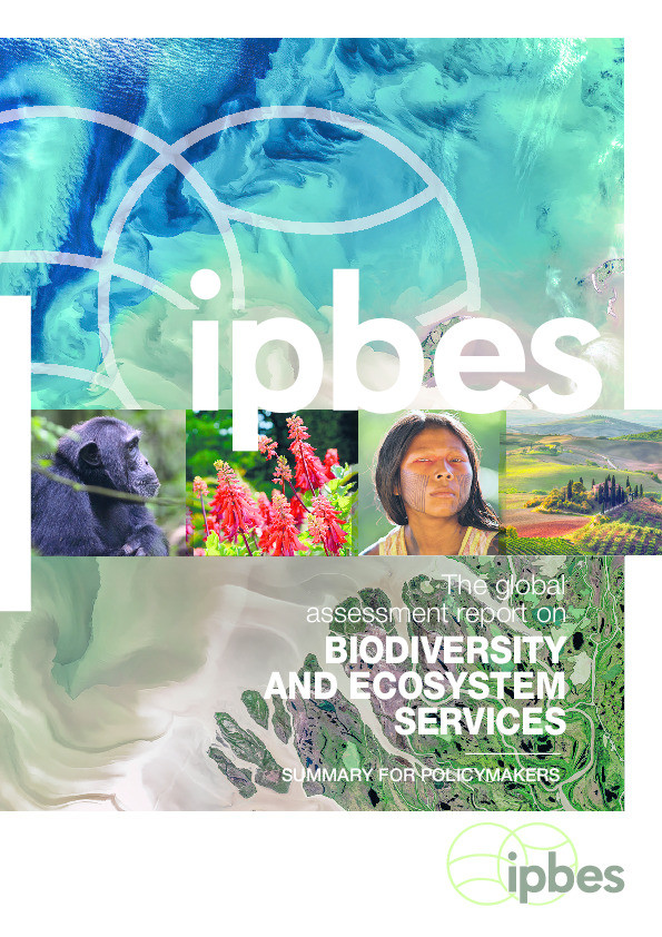 IPBES global assessment report: Summary for policymakers Thumbnail