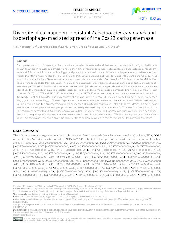 Diversity of carbapenem-resistant Acinetobacter baumannii and bacteriophage-mediated spread of the Oxa23 carbapenemase Thumbnail