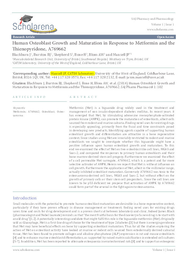 Human osteoblast growth and maturation in response to metformin and the thienopyridone, A769662 Thumbnail