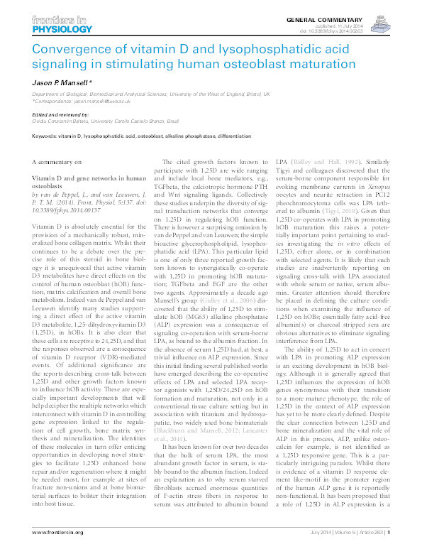 Convergence of vitamin D and lysophosphatidic acid signaling in stimulating human osteoblast maturation Thumbnail