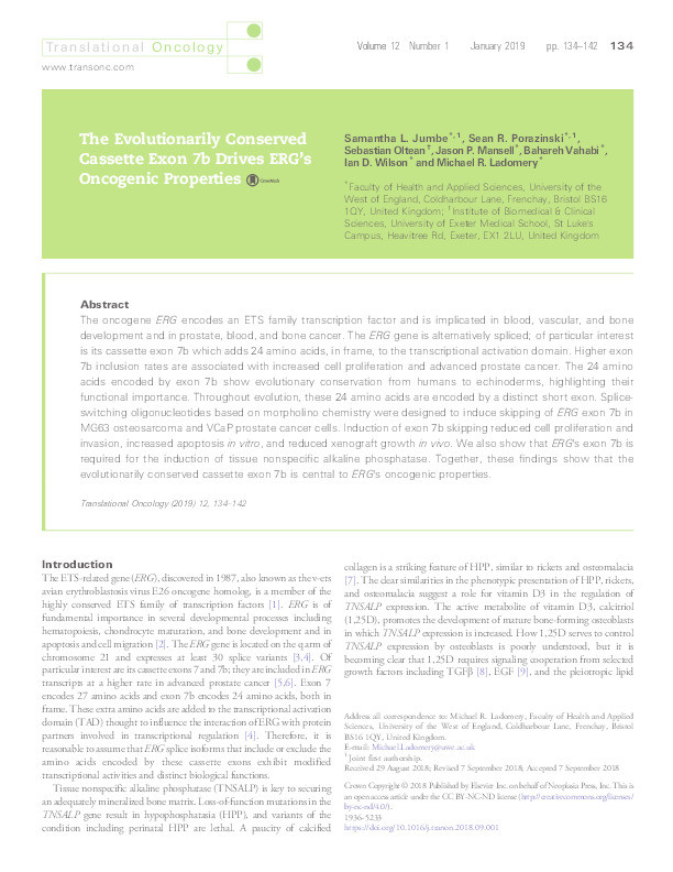 The Evolutionarily Conserved Cassette Exon 7b Drives ERG's Oncogenic Properties Thumbnail