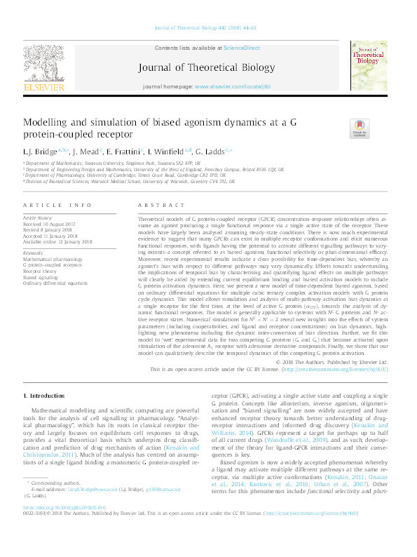Modelling and simulation of biased agonism dynamics at a G protein-coupled receptor Thumbnail
