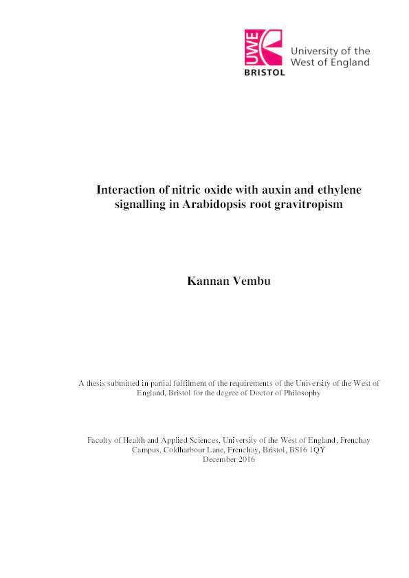 Interaction of nitric oxide with auxin and ethylene signalling in Arabidopsis root gravitropism Thumbnail