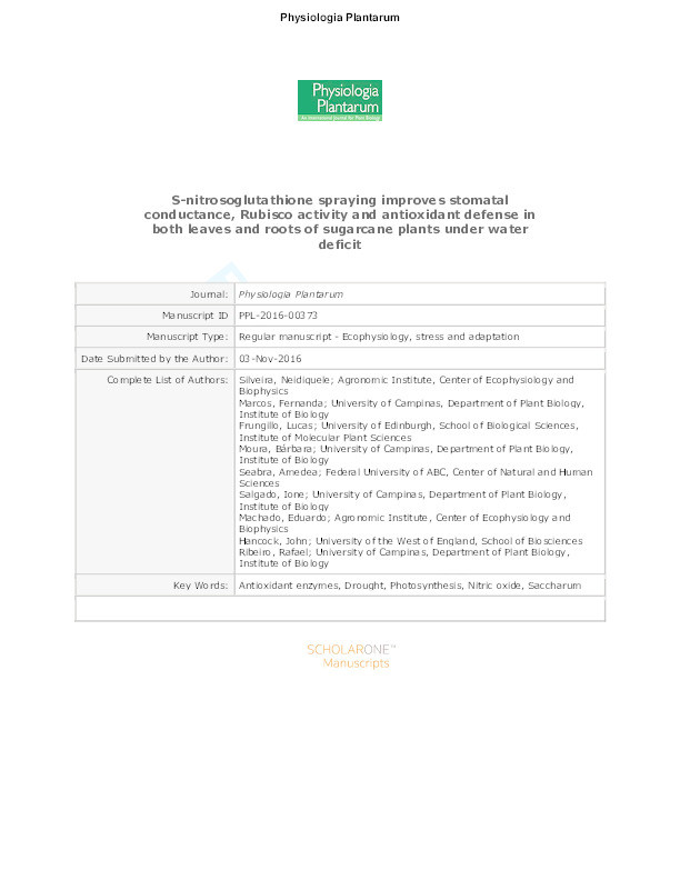 S-nitrosoglutathione spraying improves stomatal conductance, Rubisco activity and antioxidant defense in both leaves and roots of sugarcane plants under water deficit Thumbnail