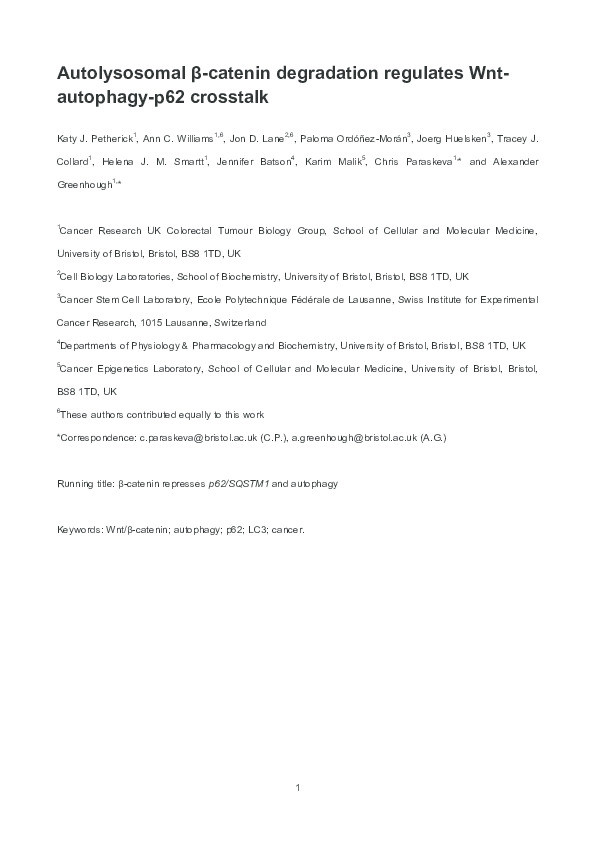 Autolysosomal β-catenin degradation regulates Wnt-autophagy-p62 crosstalk Thumbnail