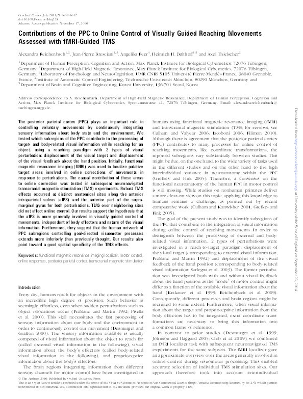 Contributions of the PPC to online control of visually guided reaching movements assessed with fMRI-Guided TMS Thumbnail