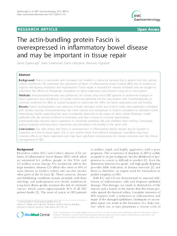 The actin-bundling protein Fascin is overexpressed in inflammatory bowel disease and may be important in tissue repair Thumbnail