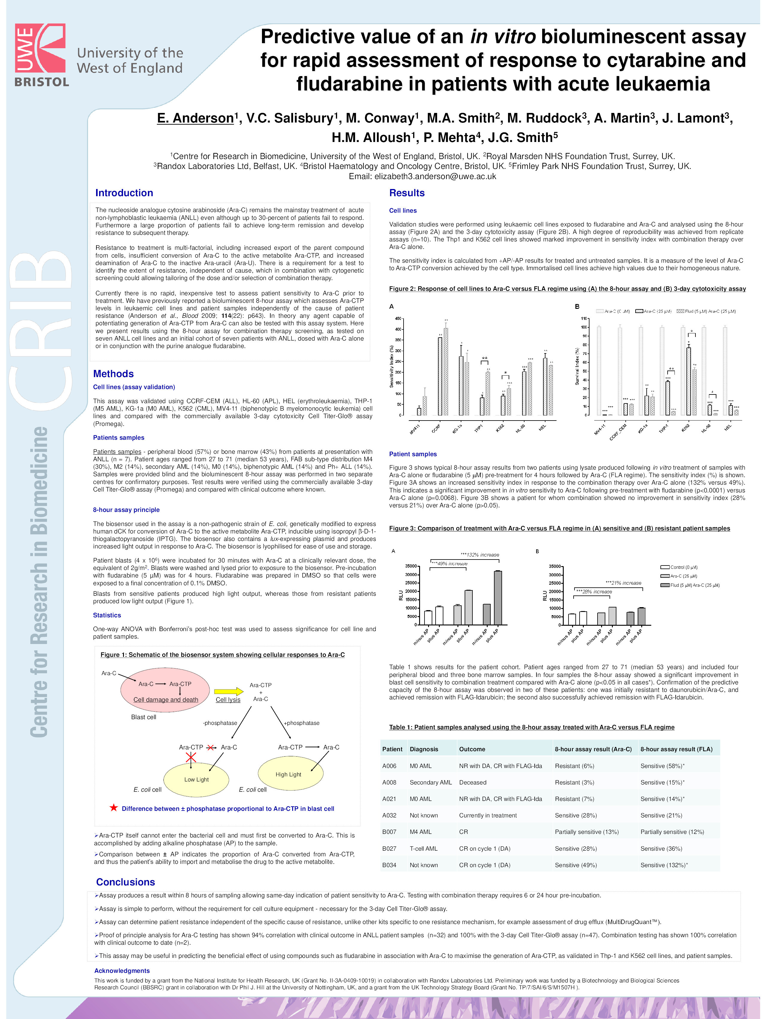 Predictive value of an in vitro bioluminescent assay for rapid assessment of response to cytarabine and fludarabine in patients with acute leukaemia Thumbnail