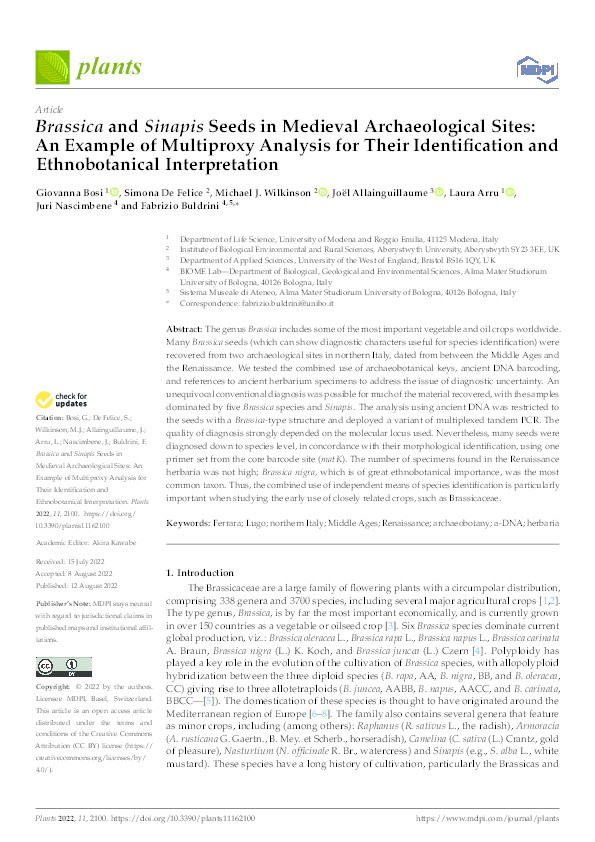 Brassica and Sinapis seeds in medieval archaeological sites: An example of multiproxy analysis for their identification and ethnobotanical interpretation Thumbnail