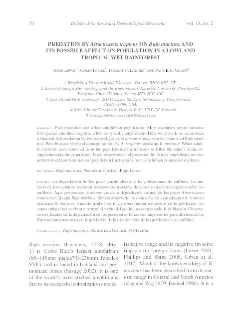 Predation by Atractosteus tropicus on Bufo marinus and its possible affect on population in a lowland tropical wet rainforest Thumbnail