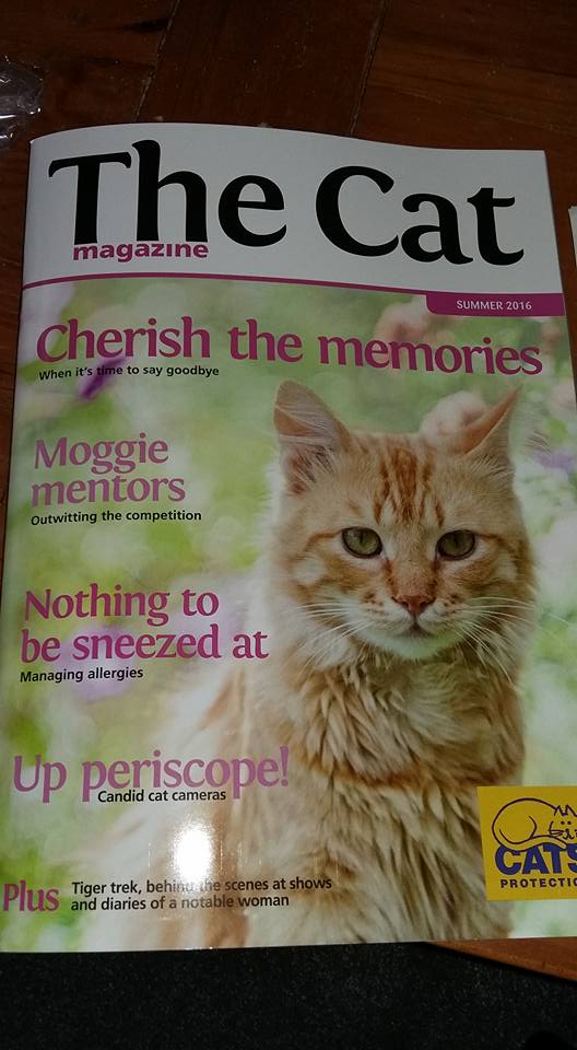 The Cat magazine front cover.jpg
