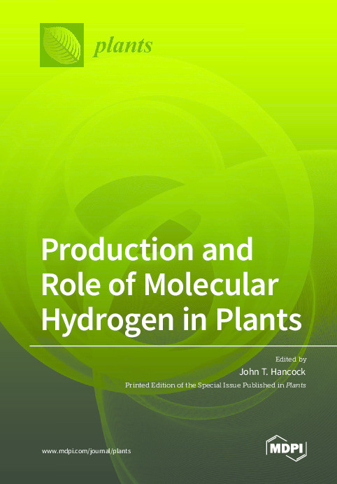 Production and Role of Molecular Hydrogen in Plants Thumbnail