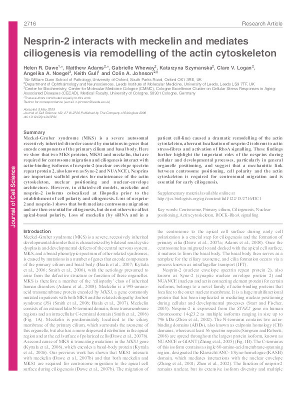Nesprin-2 interacts with meckelin and mediates ciliogenesis via remodelling of the actin cytoskeleton Thumbnail
