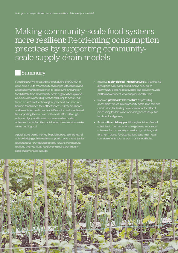 Making community-scale food systems more resilient: Reorienting consumption practices by supporting community-scale supply chain models Thumbnail