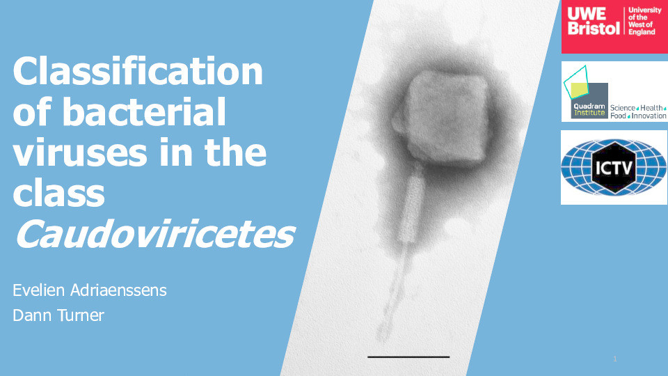 Classification of bacterial viruses in the class Caudoviricetes Thumbnail