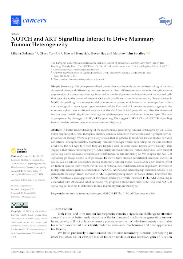 NOTCH and AKT signalling interact to drive mammary tumour heterogeneity Thumbnail