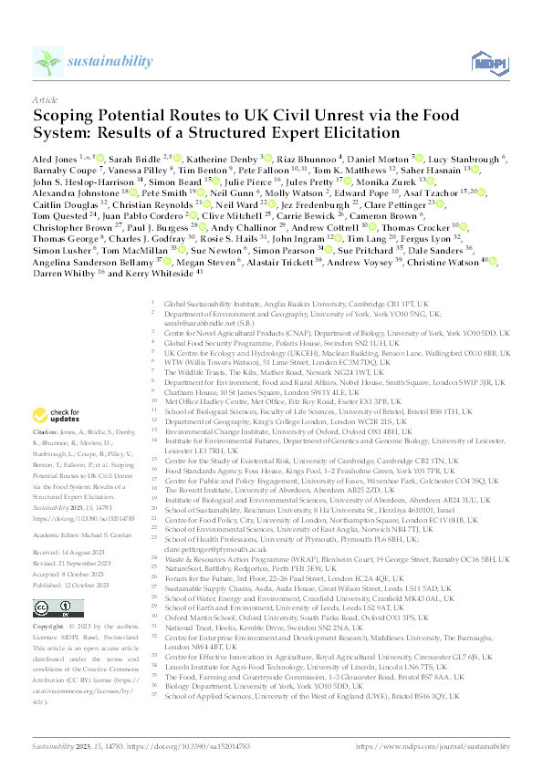 Scoping potential routes to UK civil unrest via the food system: Results of a structured expert elicitation Thumbnail