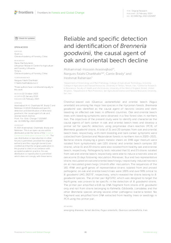 Reliable and specific detection and identification of Brenneria goodwinii, the causal agent of oak and oriental beech decline Thumbnail