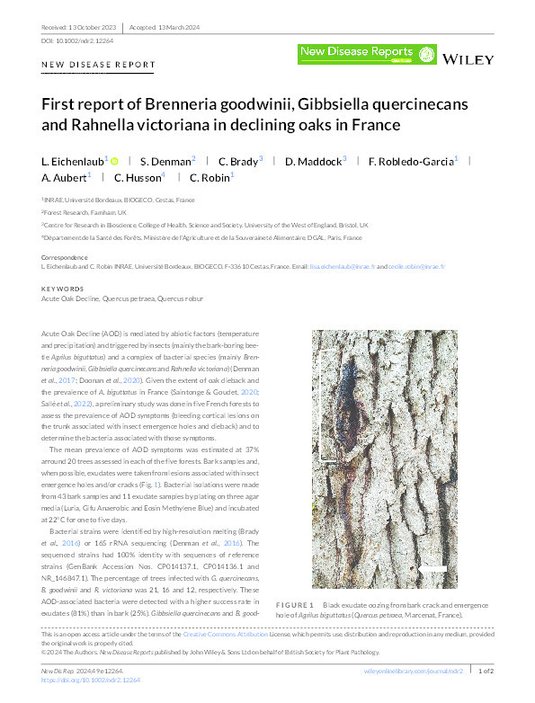 First report of Brenneria goodwinii, Gibbsiella quercinecans and Rahnella victoriana in declining oaks in France Thumbnail