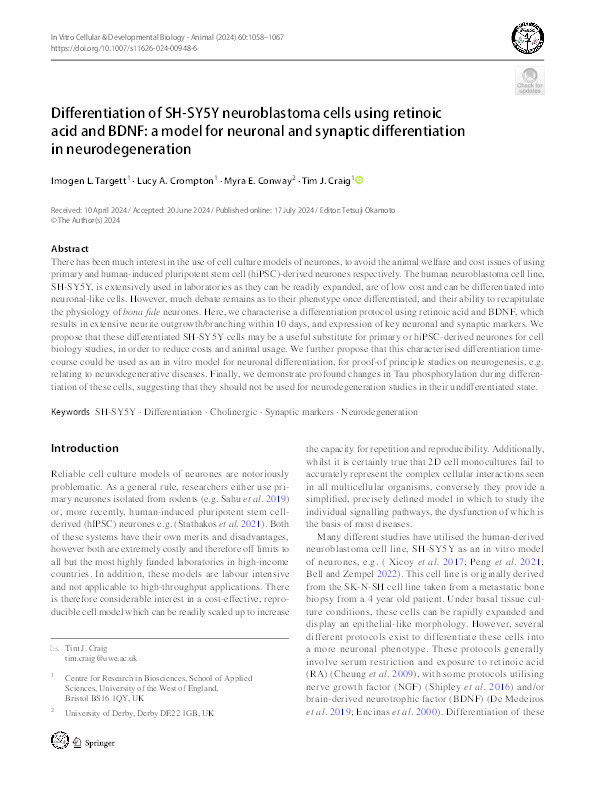 Differentiation of SH-SY5Y neuroblastoma cells using retinoic acid and BDNF: A model for neuronal and synaptic differentiation in neurodegeneration Thumbnail