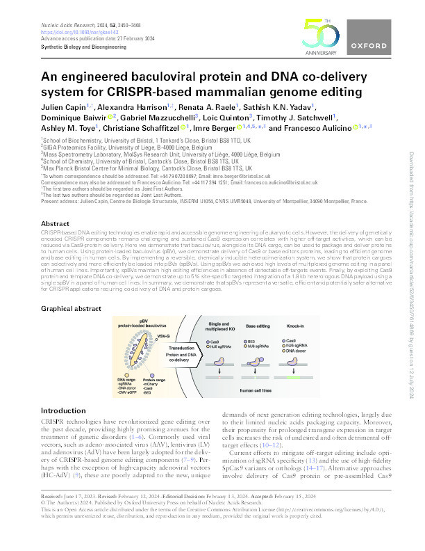 An engineered baculoviral protein and DNA co-delivery system for CRISPR-based mammalian genome editing Thumbnail