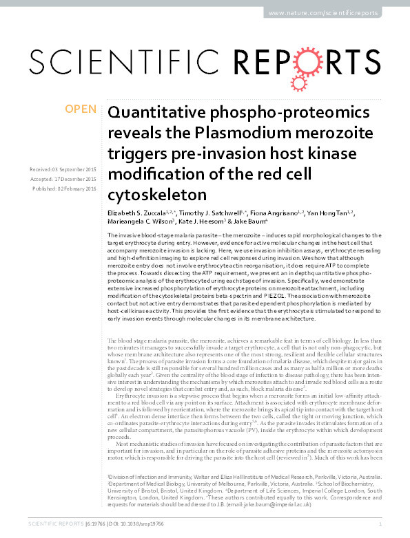 Quantitative phospho-proteomics reveals the Plasmodium merozoite triggers pre-invasion host kinase modification of the red cell cytoskeleton Thumbnail