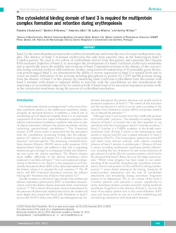 The cytoskeletal binding domain of band 3 is required for multiprotein complex formation and retention during erythropoiesis Thumbnail