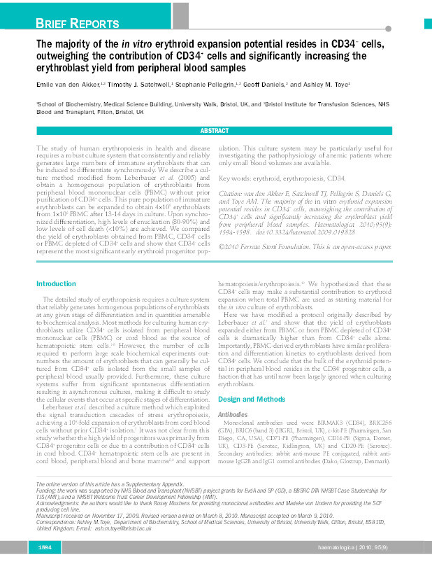 The majority of the in vitro erythroid expansion potential resides in CD34- cells, outweighing the contribution of CD34+ cells and significantly increasing the erythroblast yield from peripheral blood samples Thumbnail