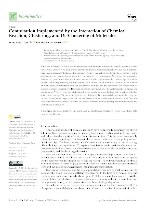 Computation implemented by the interaction of chemical reaction, clustering, and de-clustering of molecules Thumbnail