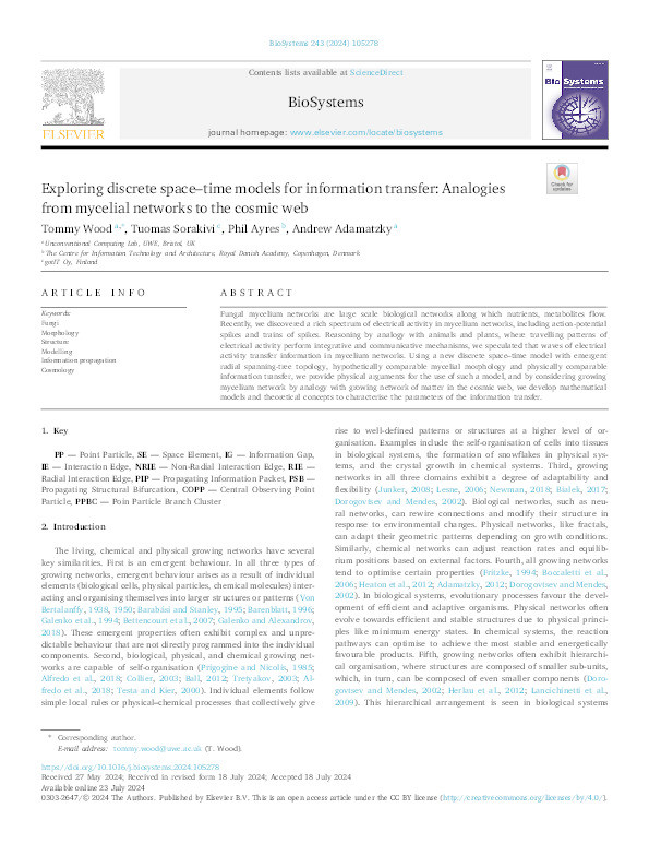 Exploring discrete space-time models for information transfer: Analogies from mycelial networks to the cosmic web Thumbnail