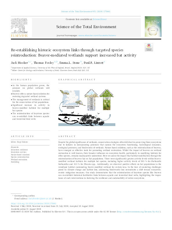 Re-establishing historic ecosystem links through targeted species reintroduction: Beaver-mediated wetlands support increased bat activity Thumbnail