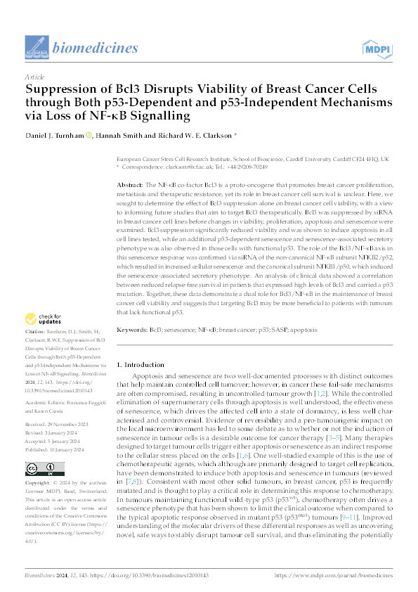 Suppression of Bcl3 disrupts viability of breast cancer cells through both p53-dependent and p53-independent mechanisms via loss of NF-κB signalling Thumbnail