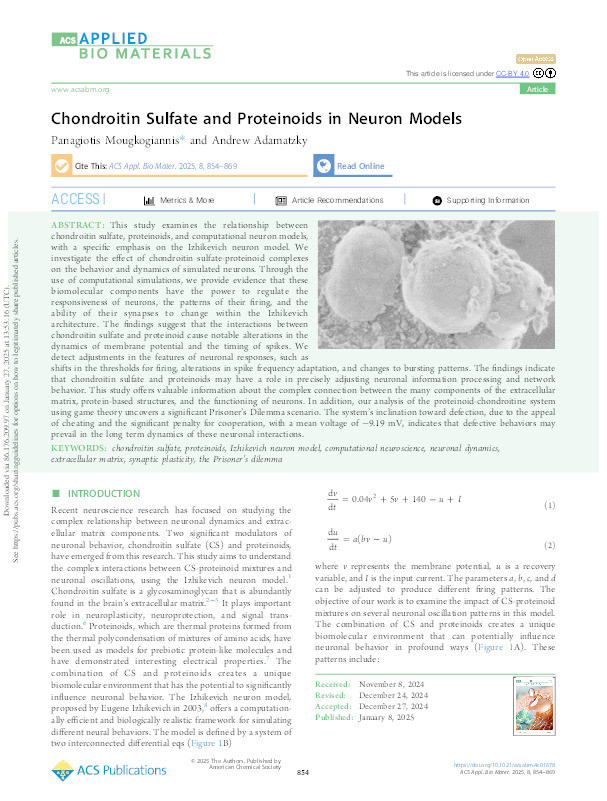 Chondroitin sulfate and proteinoids in neuron models Thumbnail