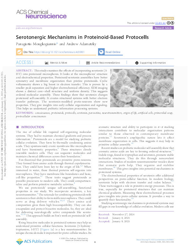 Serotonergic mechanisms in proteinoid-based protocells Thumbnail