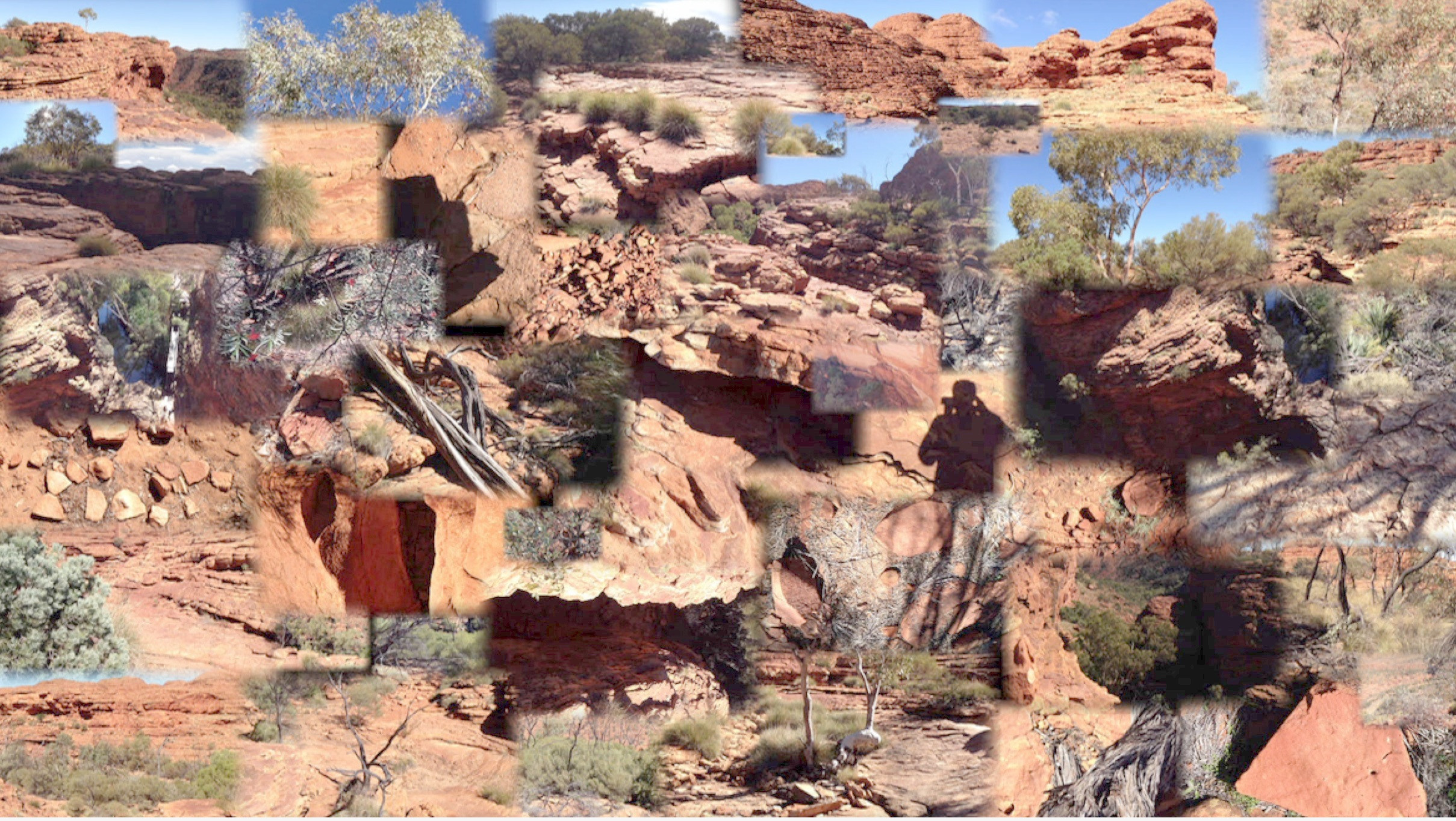Kings Canyon: An investigation of region specific hot spots via interactive latency free moving images Thumbnail