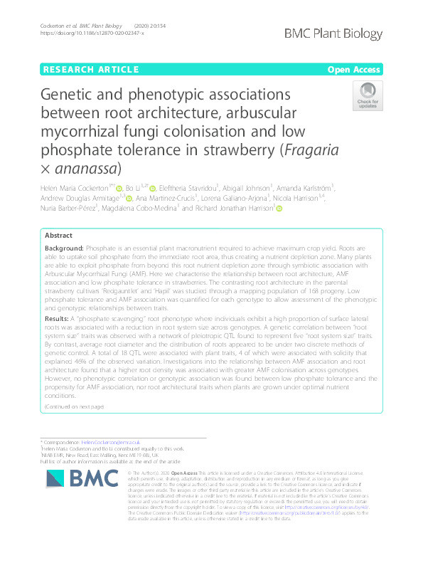 Genetic and phenotypic associations between root architecture, arbuscular mycorrhizal fungi colonisation and low phosphate tolerance in strawberry (Fragaria × ananassa) Thumbnail